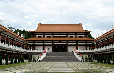 案例展示